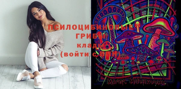гидропоника Алексин